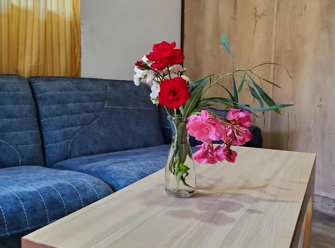 Sirena Agroturizem Gospodarstwo agroturystyczne Golem (Tirana)